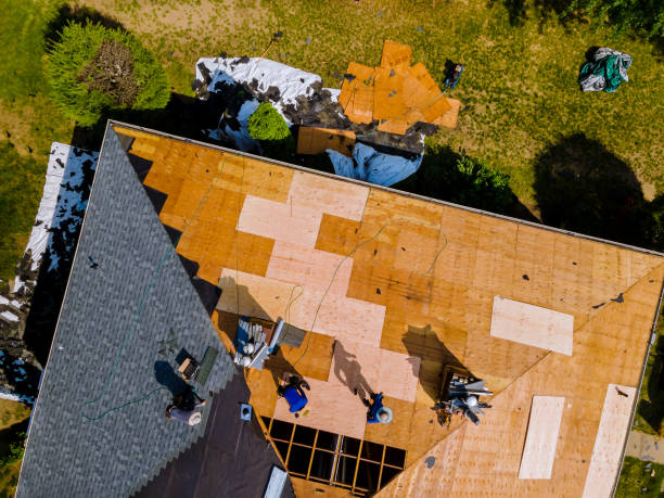 Best Metal Roofing Contractor  in Elk Plain, WA
